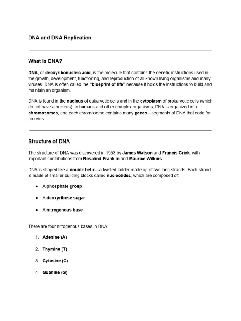 Understanding DNA Replication Process | PDF | Dna | Dna Replication