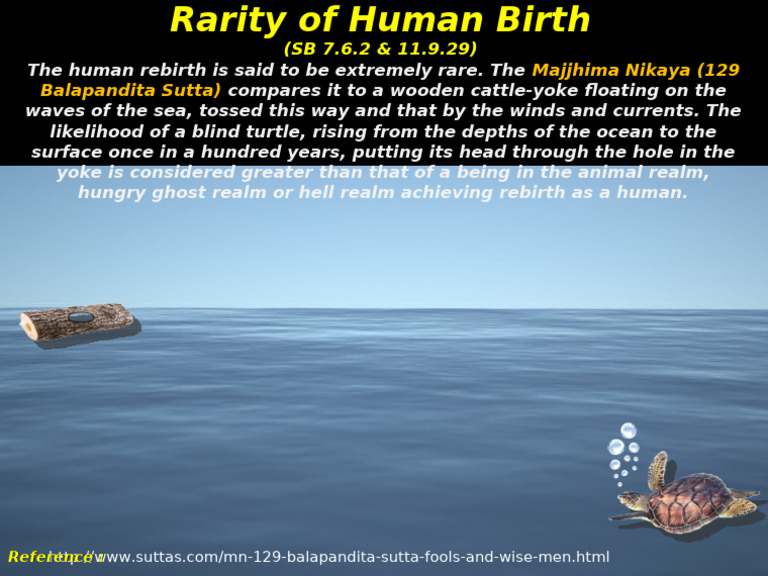Rarity of Human Birth | PDF