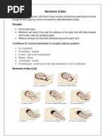 Mechanism of Labour in LOA Position | PDF | Pelvis | Anatomical Terms ...