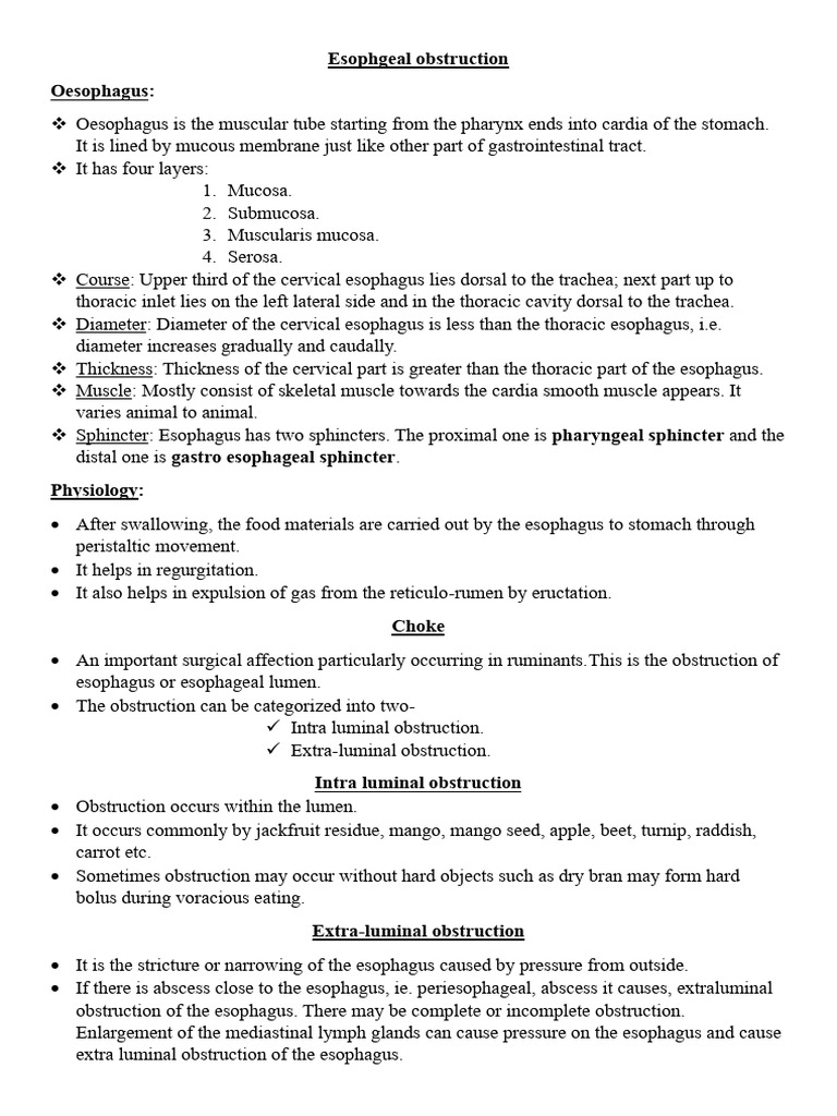 Esophageal Obstruction in Ruminants & Horses | PDF | Esophagus ...