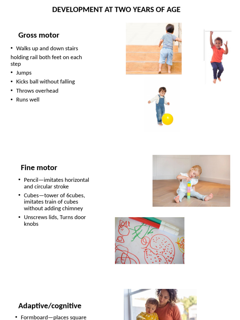 2 Year Child Devepomental Milestones | PDF