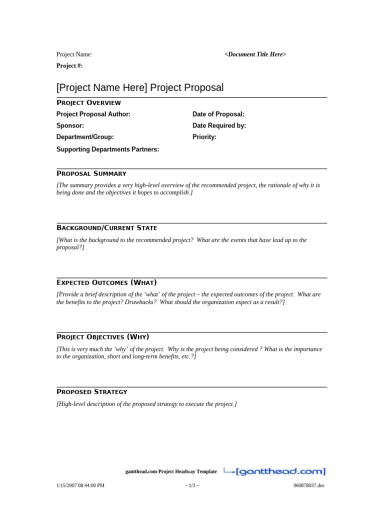 Project Proposal Overview Template | PDF