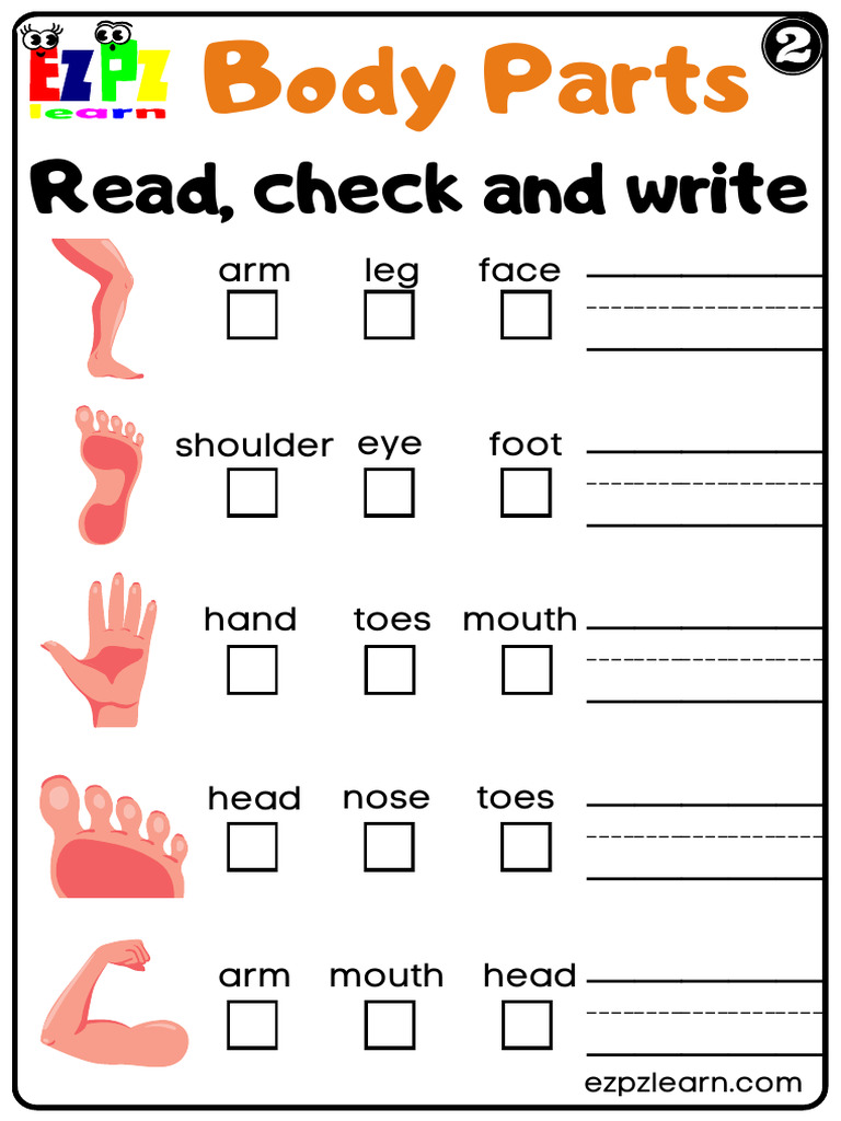 2 Body Parts Read Check and Write | PDF