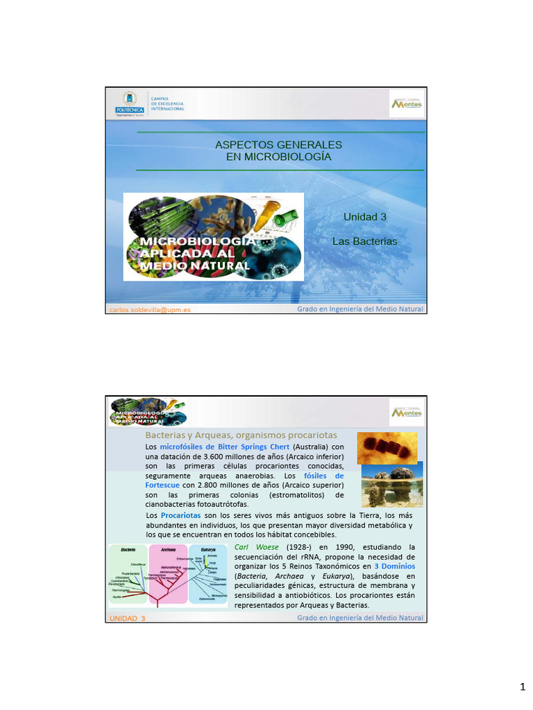 Características de las Bacterias Procariotas | PDF | Procariota | Las ...