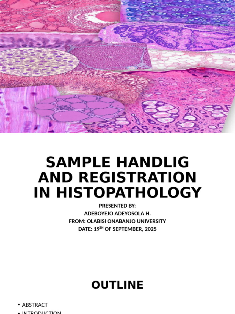 Sample Handling in Histopathology | PDF | Histopathology | Medical ...