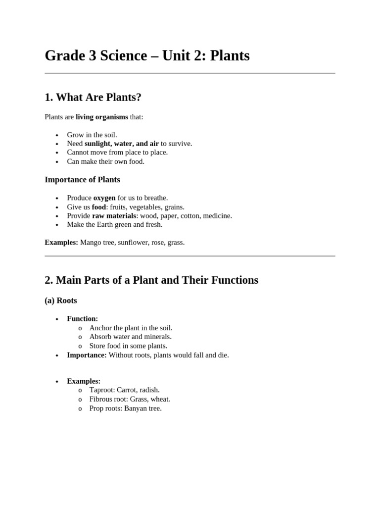 Plant Classification for Grade 3 | PDF | Plants | Foods