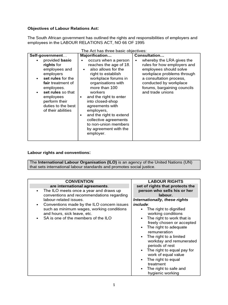 Labour Relations Last Notes Print | PDF | Labour Law | Employment