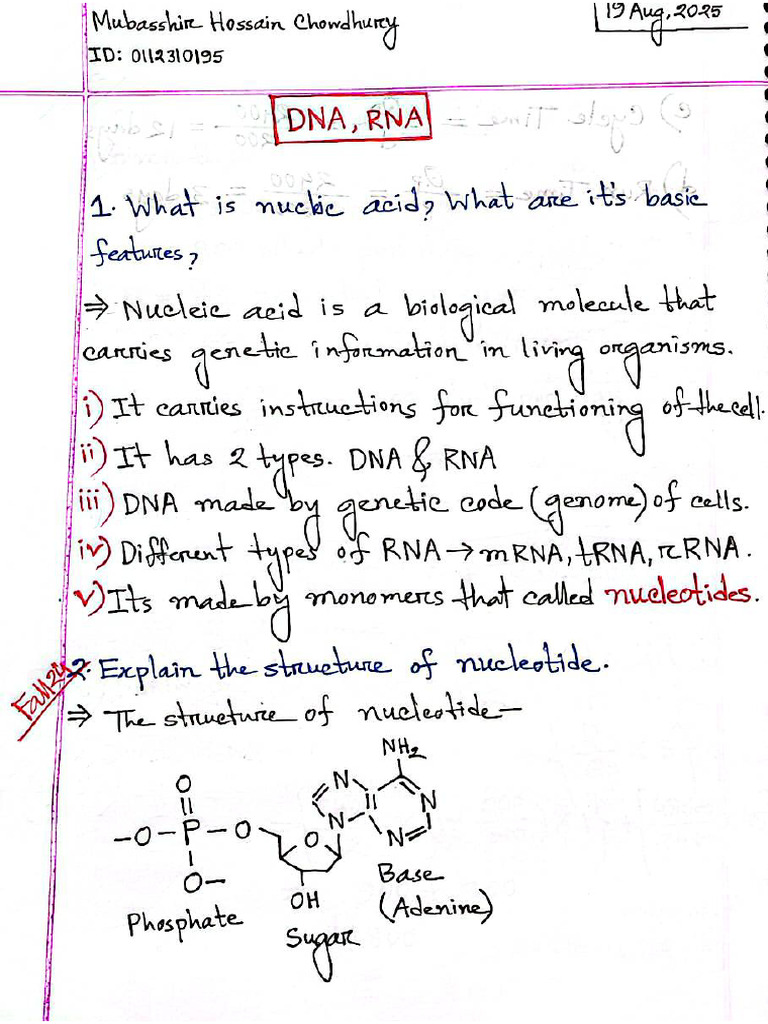 DNA and RNA | PDF