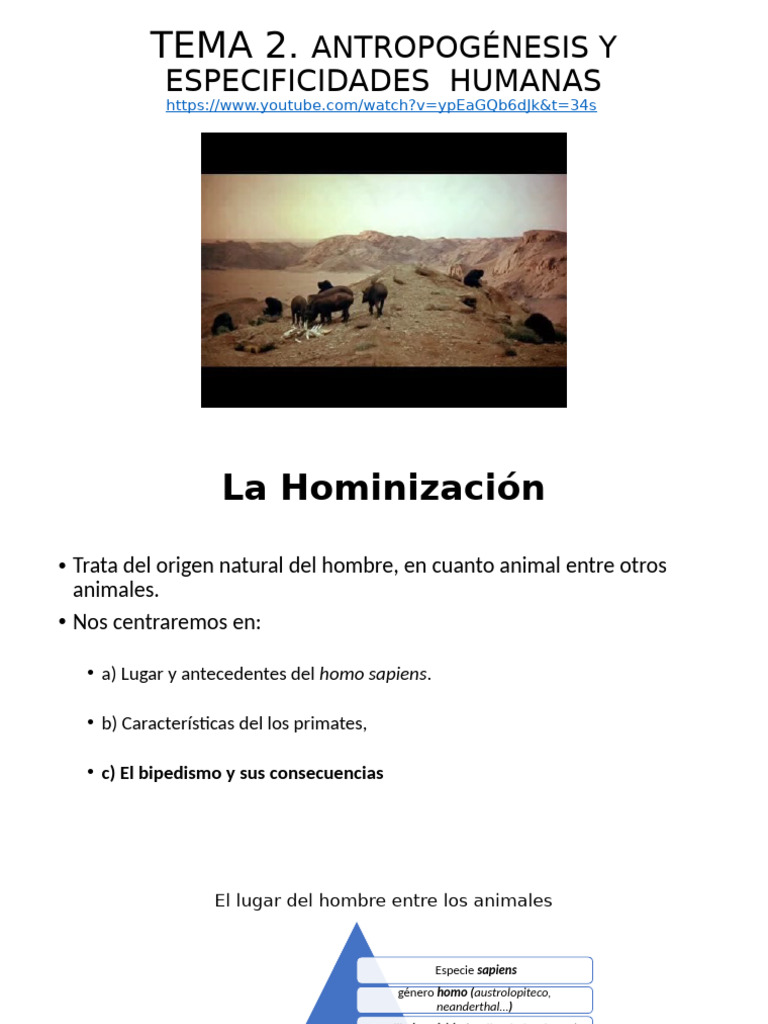TEMA 2. Antropogénesis y Especificidad Humana | PDF | Humano | Homo