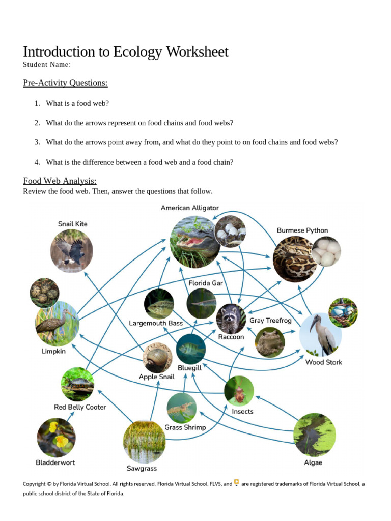 Impact of Burmese Python on Everglades Food Web | PDF