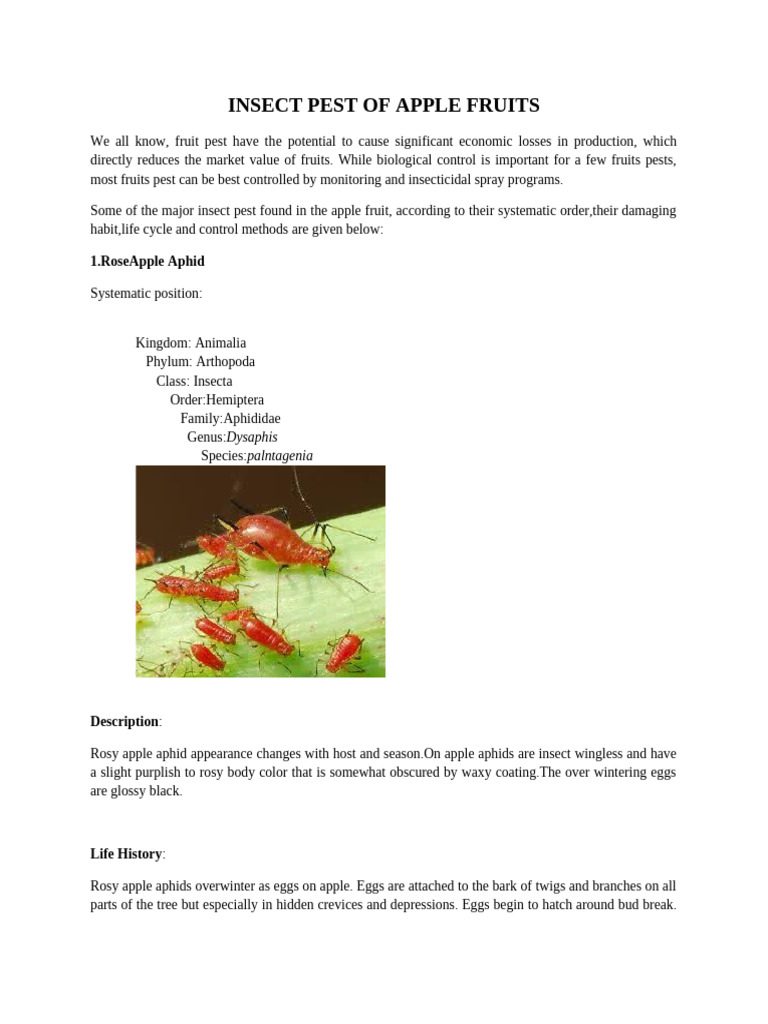 Apple Fruit Insect Pests Guide | PDF | Insects