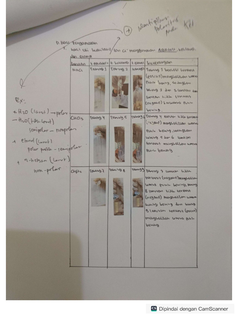 Don't Judge My Practical Report | PDF