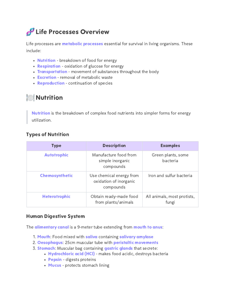 Overview of Life Processes in Organisms | PDF | Digestion | Stomach