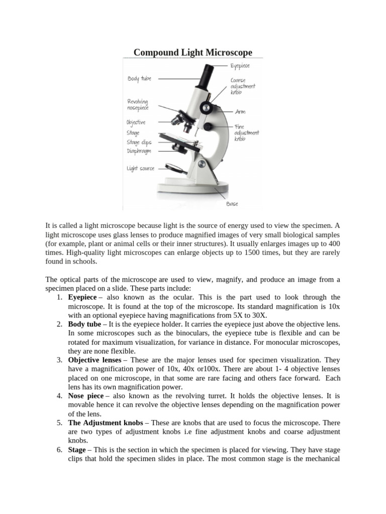 Cells and Microscopes | PDF | Cell (Biology) | Chloroplast