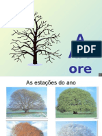 Dia da Árvore