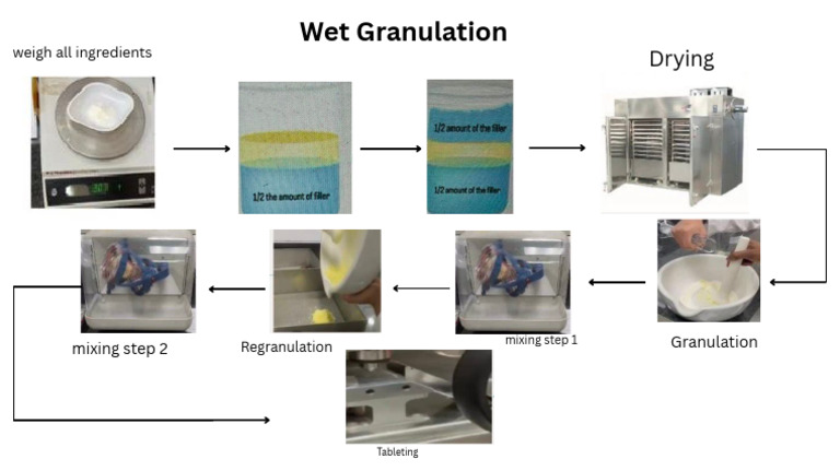 Wet Granulation Process Steps | PDF