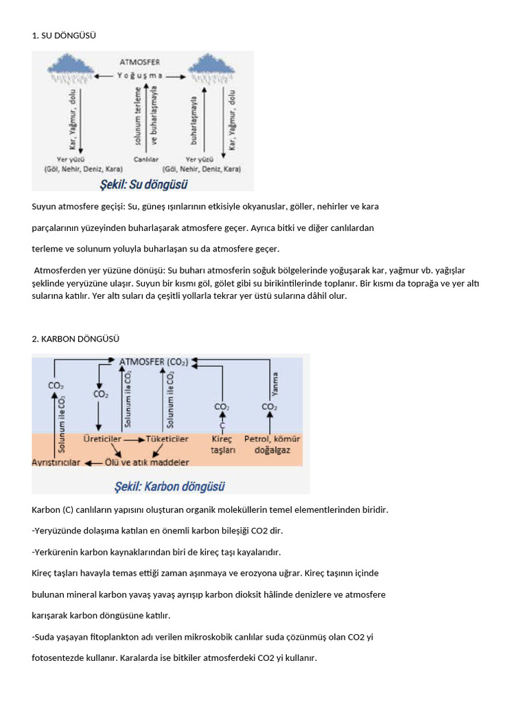 Madde Döngüsü | PDF