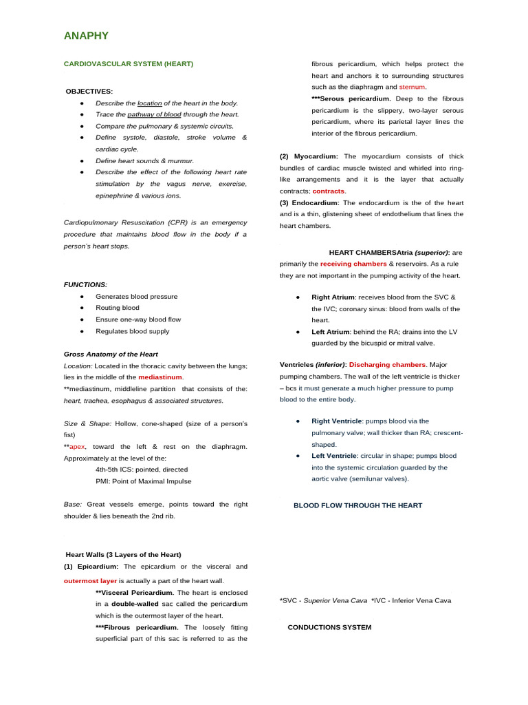Cardiovascular System (Heart) | PDF | Heart | Heart Valve