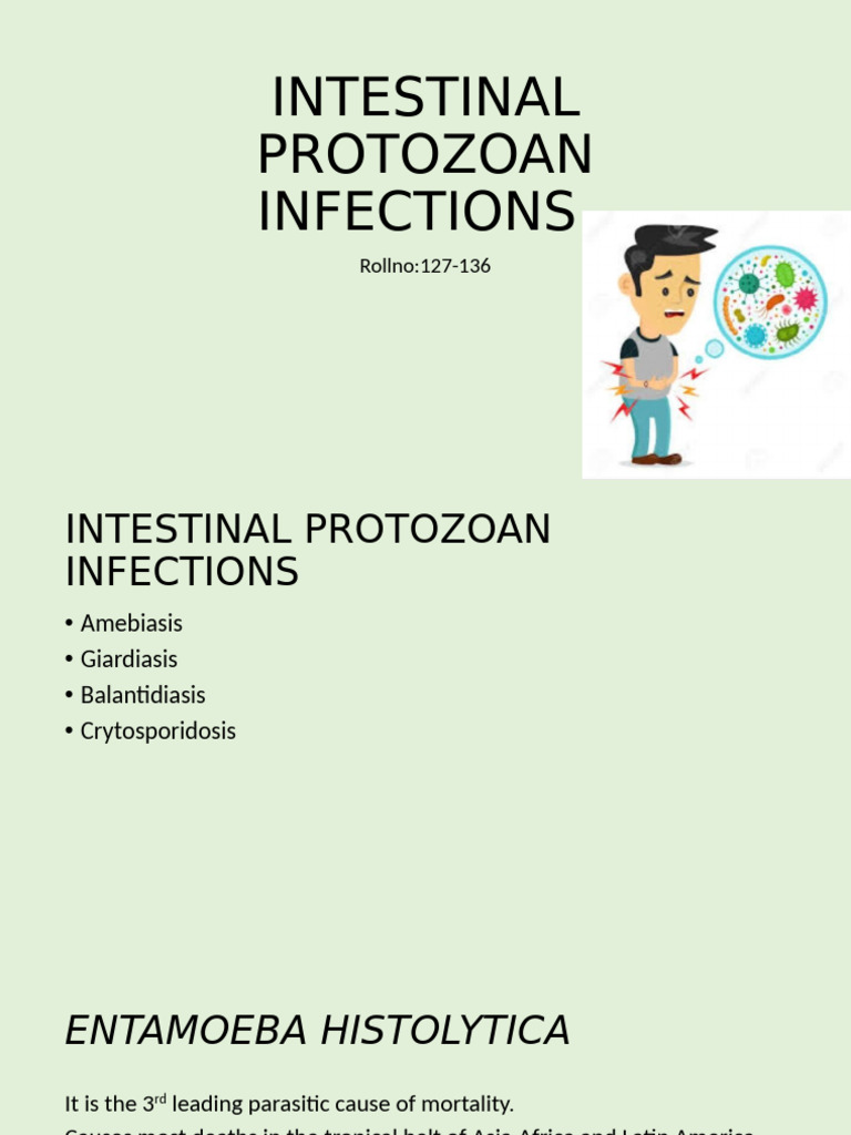 Intestinal Protozoan Infections Overview | PDF