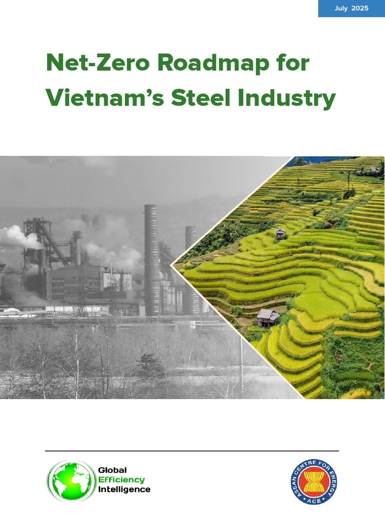 Vietnam Steel Roadmap 1754108182 | PDF | Steelmaking | Climate Change ...