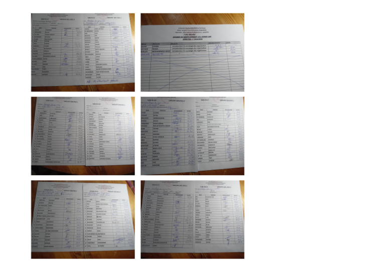 Notes Socio - Org EMD | PDF