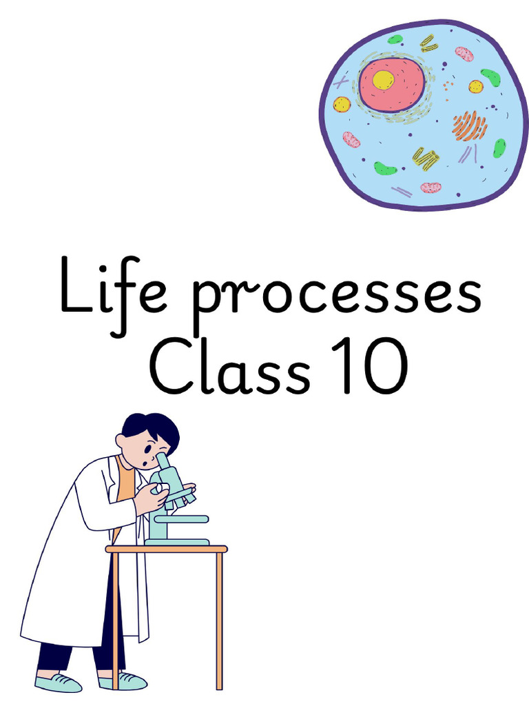 Class 10 - CH Life Processes | PDF