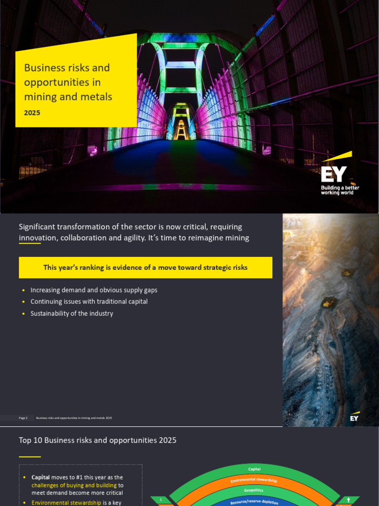 Mining Investment Risks and Opportunities 2025 | PDF | Mining | Copper