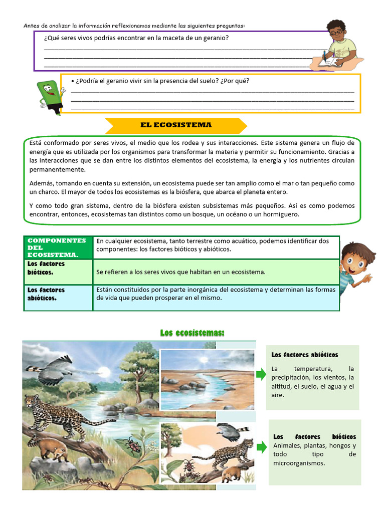 Componentes y Tipos de Ecosistemas | PDF | Ecosistema | Ecología