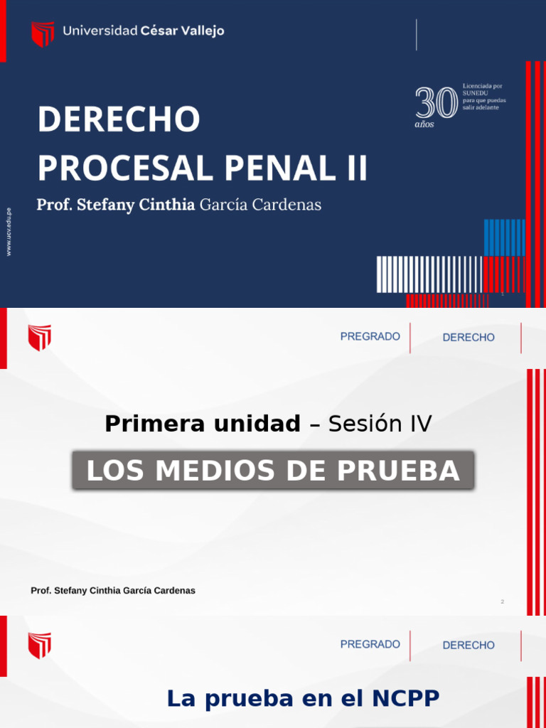 Sesión 4 - Derecho Procesal Penal Ii | PDF | Evidencia (ley) | Judicaturas