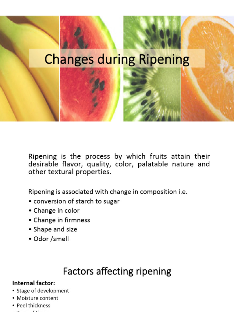 Understanding Fruit Ripening Changes | PDF | Phenolic Content In Wine ...