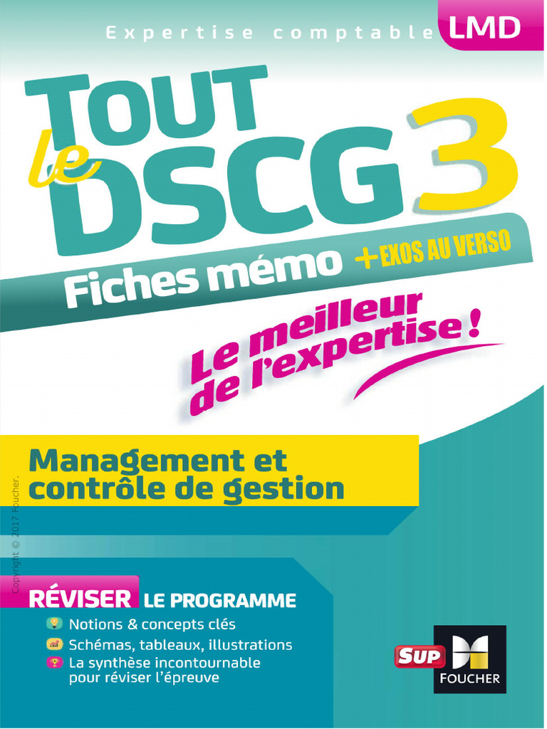 Tout Le DSCG 3 | PDF