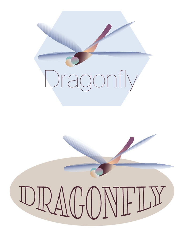 Dragonfly | PDF