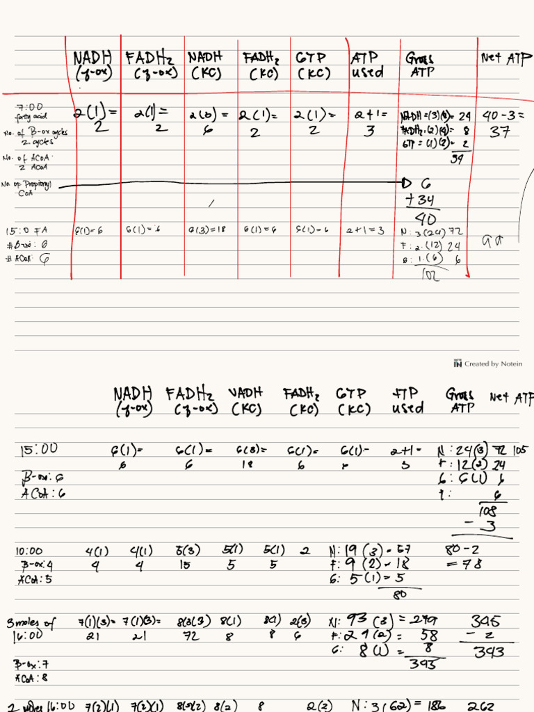 Biochemistry Notes | PDF