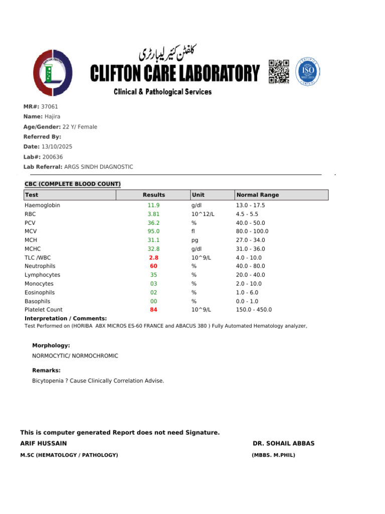 Complete Blood Count Results Summary | PDF