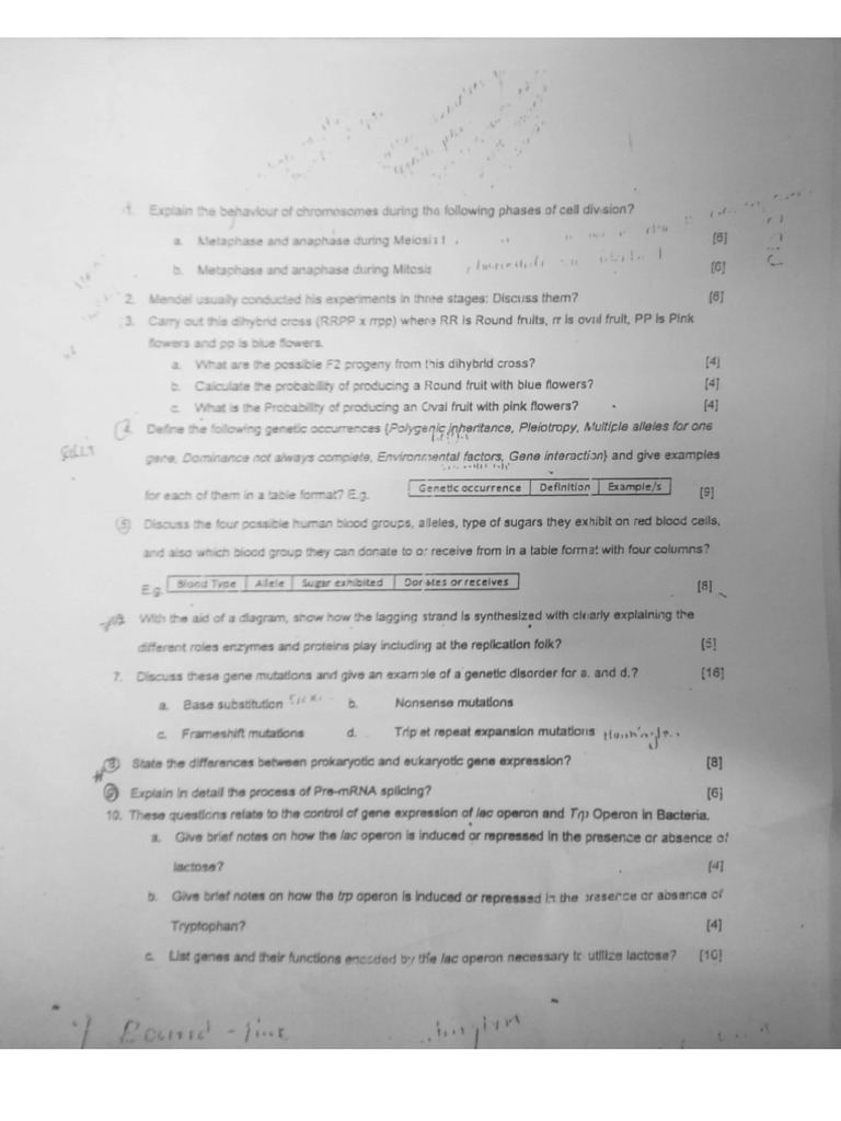 Bi 265 & BI260 Test Papers | PDF