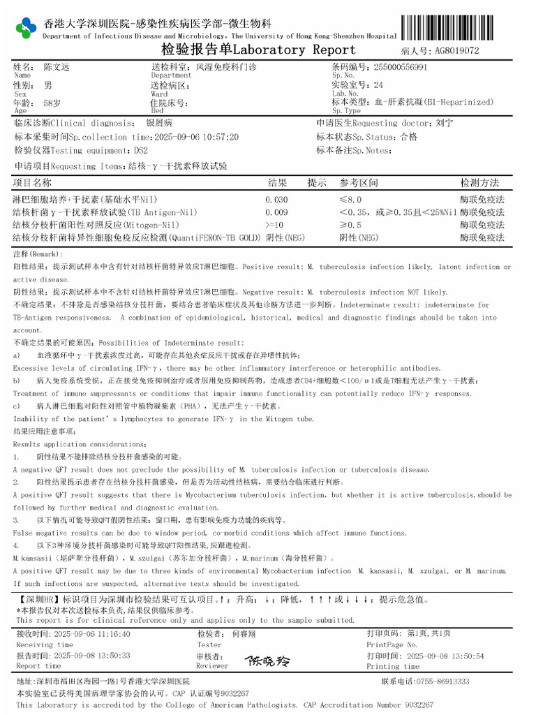 Report | PDF