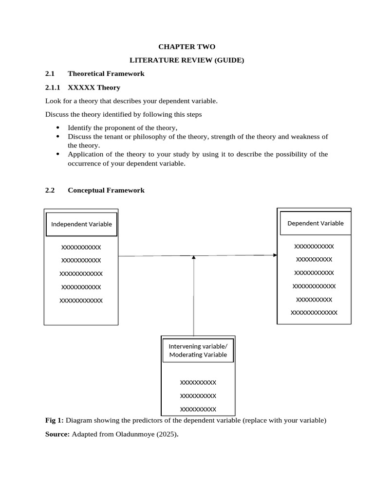 Literature Review Framework Guide | PDF