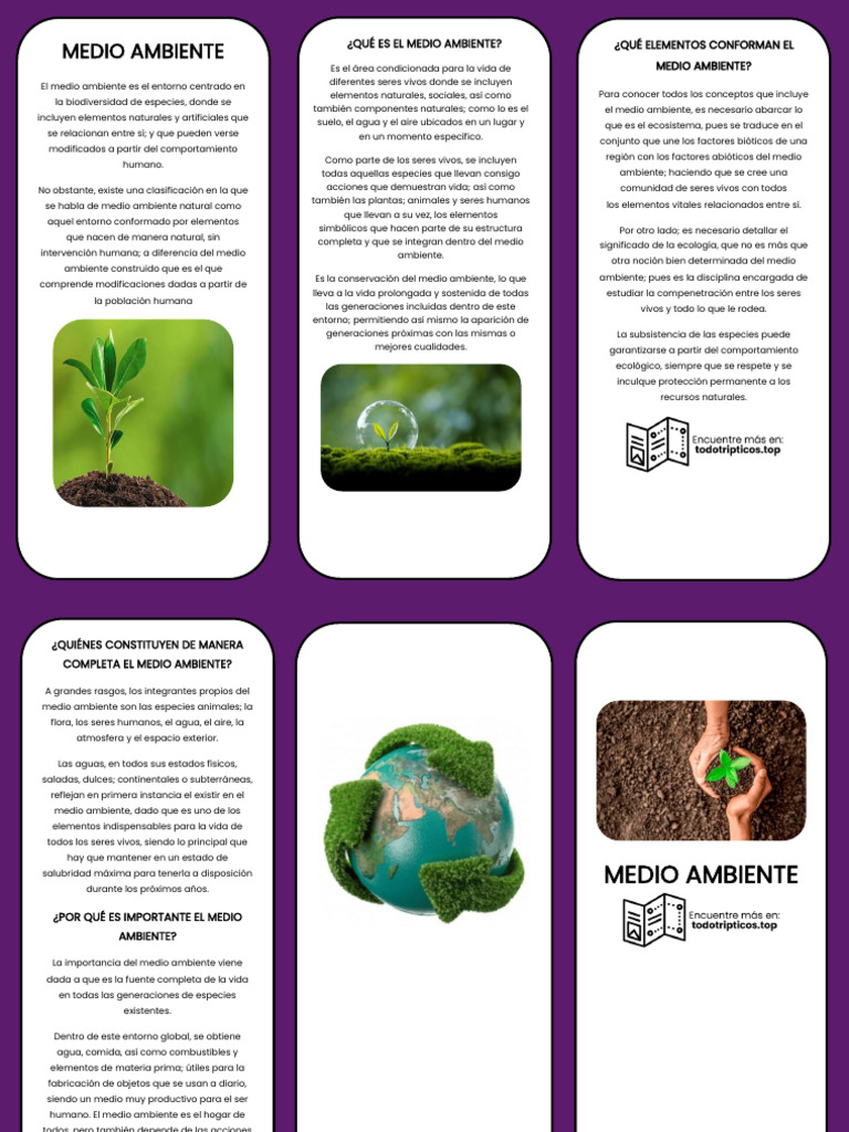 Importancia y Elementos del Medio Ambiente | PDF | Entorno natural ...