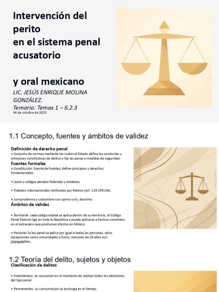 Perito en el Sistema Penal Mexicano | PDF | Derecho penal | Debido al ...