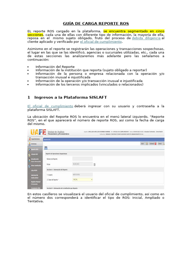 Guía de Carga Reporte Ros | PDF