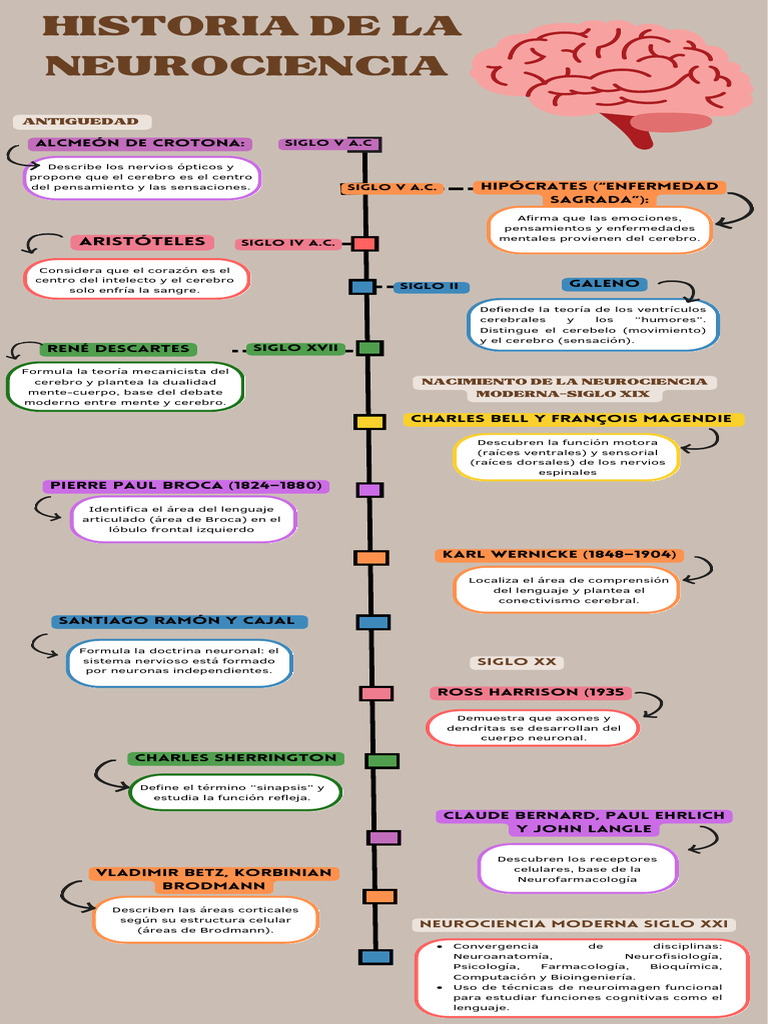 Evolución de la Neurociencia a lo Largo del Tiempo | PDF | Cerebro ...