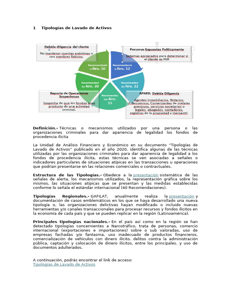 Tipologías de Lavado de Activos | PDF