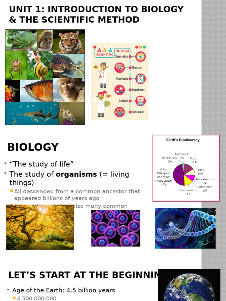 Introduction to Biology Concepts | PDF | Life | Experiment