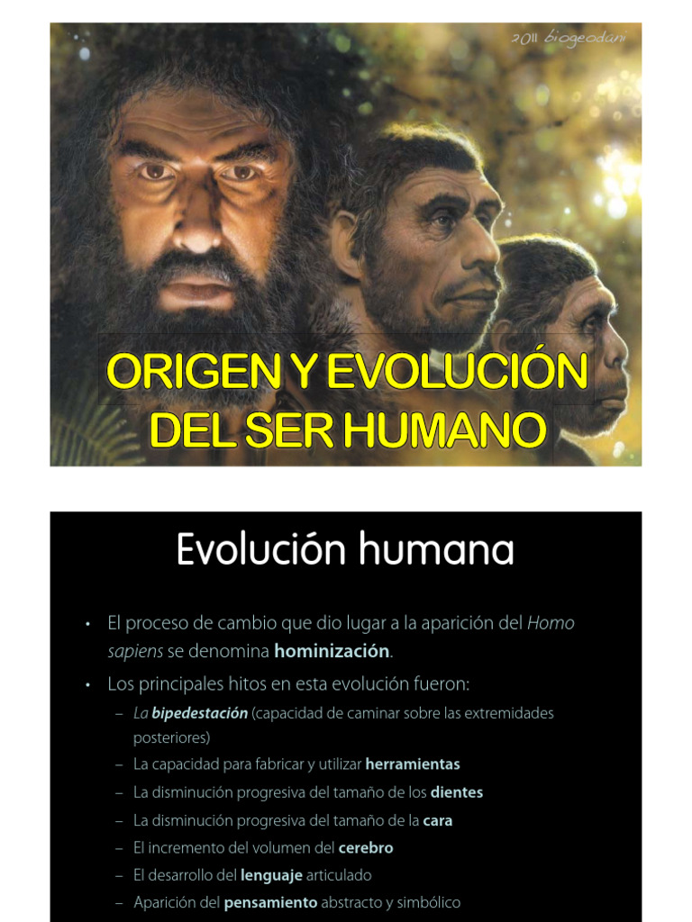 Origen y Evolucion Del Ser Humano | PDF | Homo | Mono