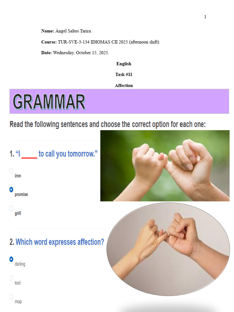 English Affection Task by Ángel Saltos | PDF