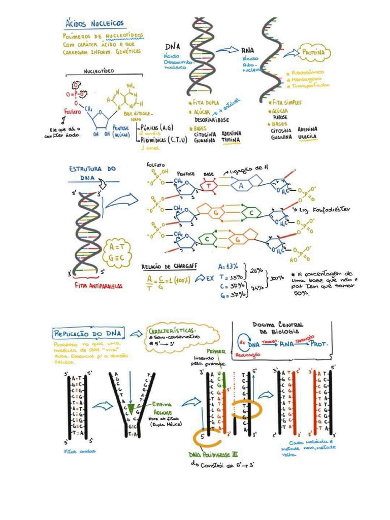 Genetic A | PDF