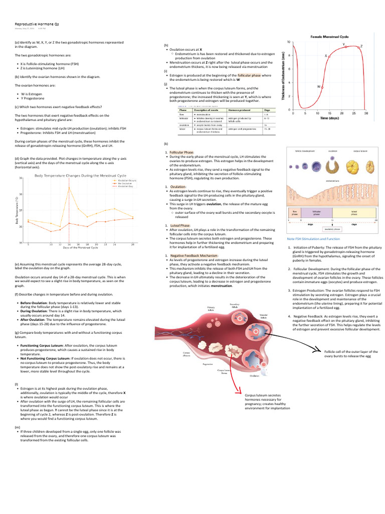 Menstrual Cycle Hormones and Temperature | PDF | Menstrual Cycle ...