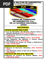 Ley Nacional sobre el Uso de la Fuerza | PDF | Policía | México