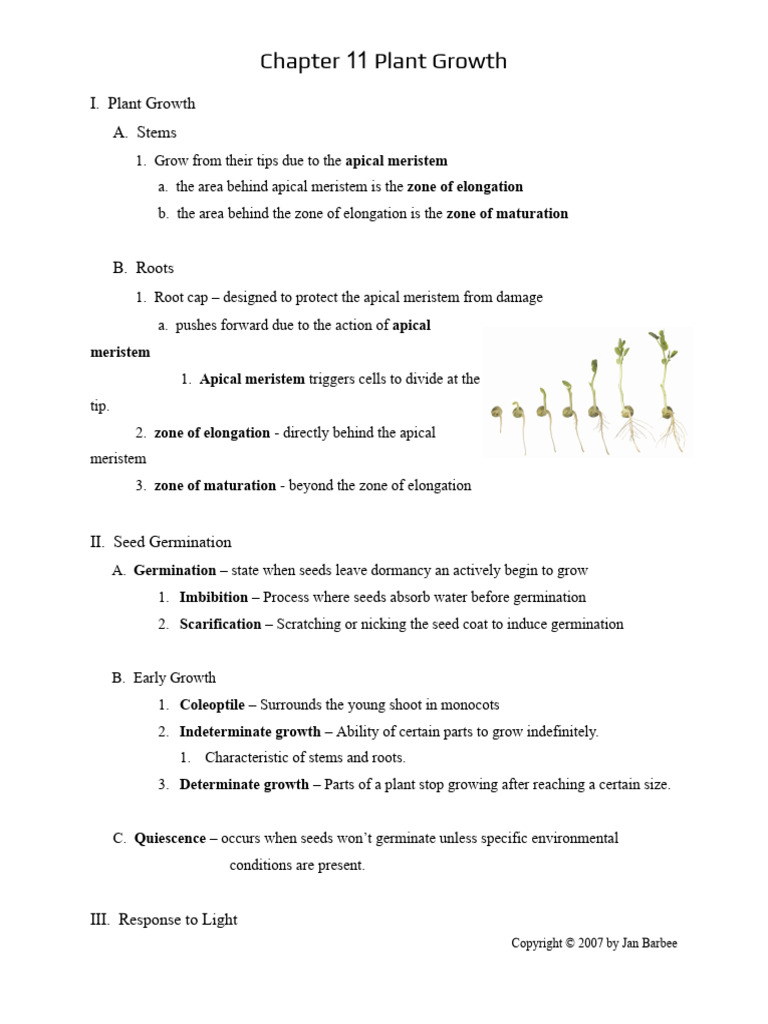 Understanding Plant Growth Mechanisms | PDF | Seed | Germination