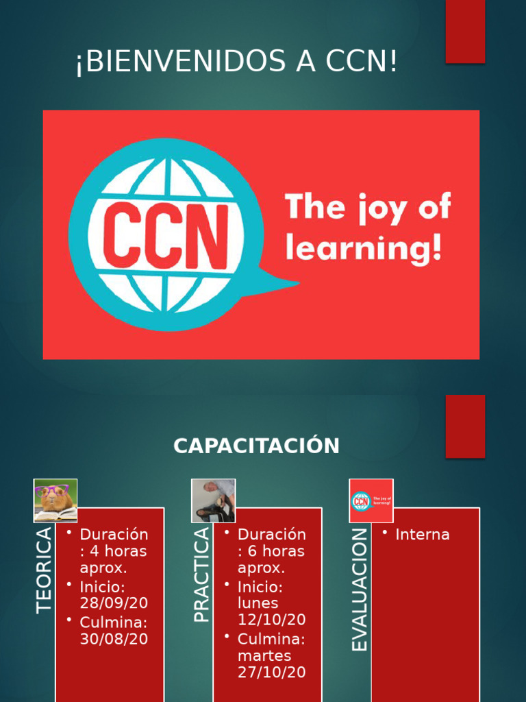 How CCN Teach Languages | PDF | Ciencia cognitiva | Informática